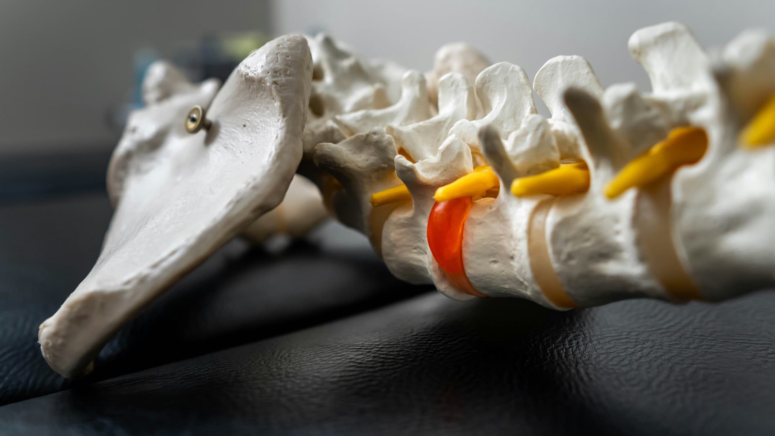 Patient consultation at Summit Spine Centre, Airdrie chiropractor